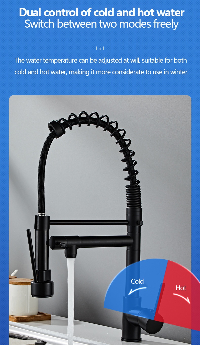 kitchen tap with pull out spray (2).png
