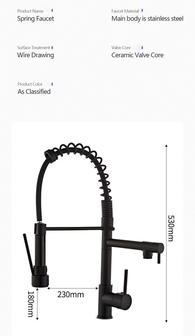 kitchen tap with pull out spray (1).png