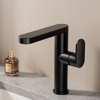OEM/ODM Basin Faucet, Swivel Splash-Proof, Hot & Cold, Black Aluminum